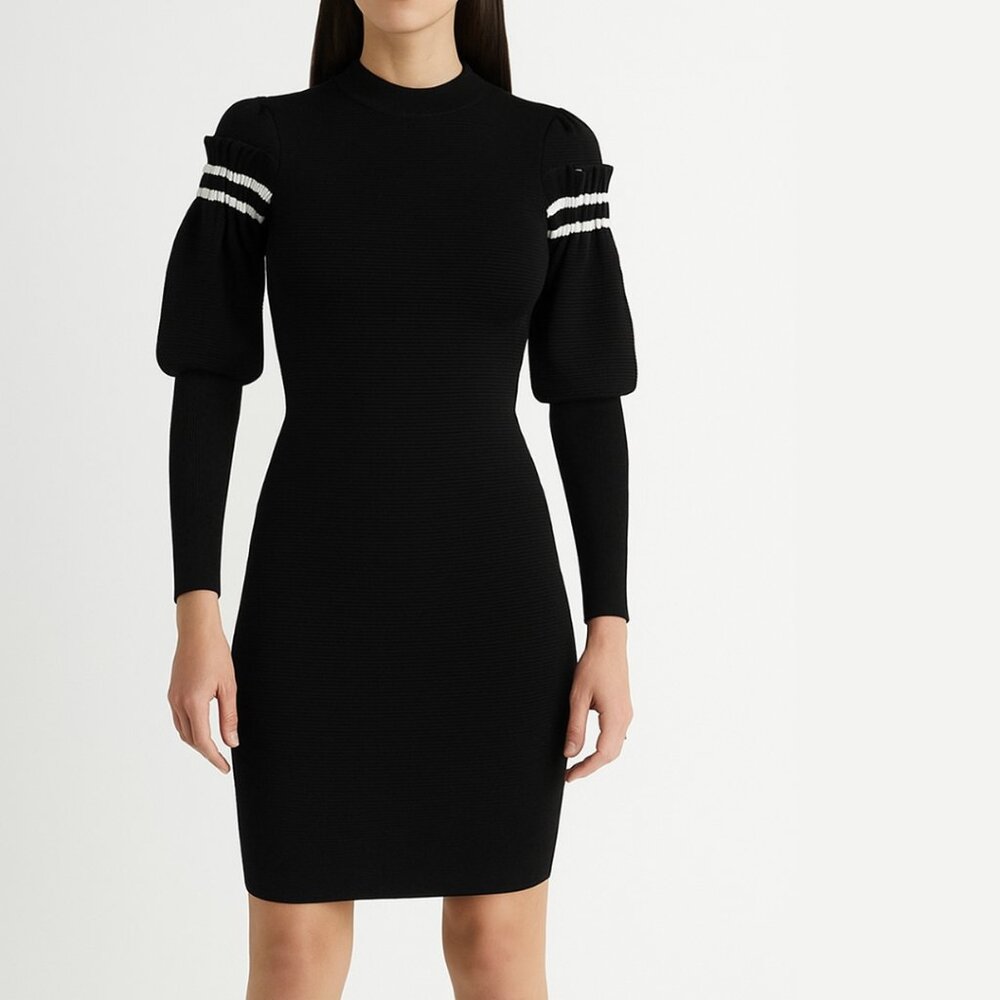 3.1 Phillip‎ Lim Ruffle Sleeve Dress Minimalist Quiet Luxury Winter Preppy
